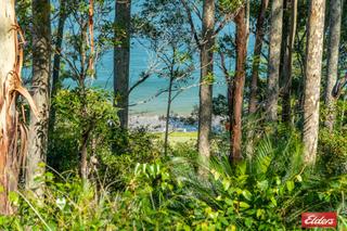 View from potential deck to beach below