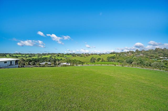 Lot 115 Tallowwood Street, QLD 4552