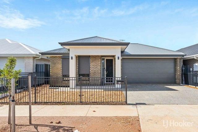 14 Dunkerley Street, SA 5115