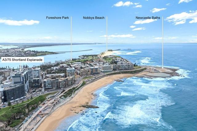 A3/75 Shortland Esplanade, NSW 2300