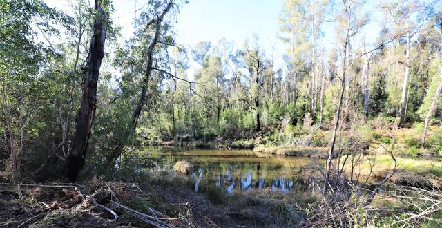 Lot 34, 35, 36, 79 Monaro Highway, NSW 2632