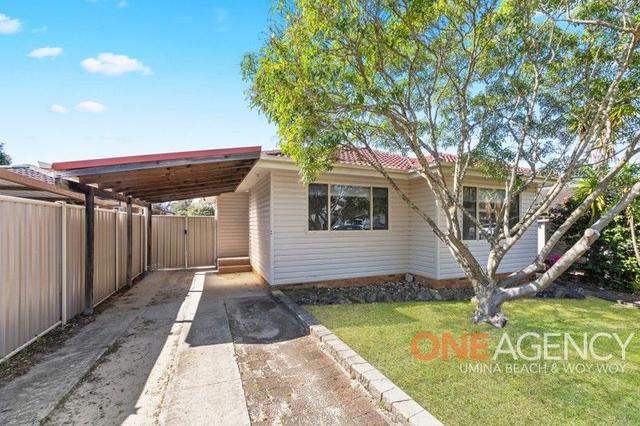 6 Mascot Street, NSW 2256