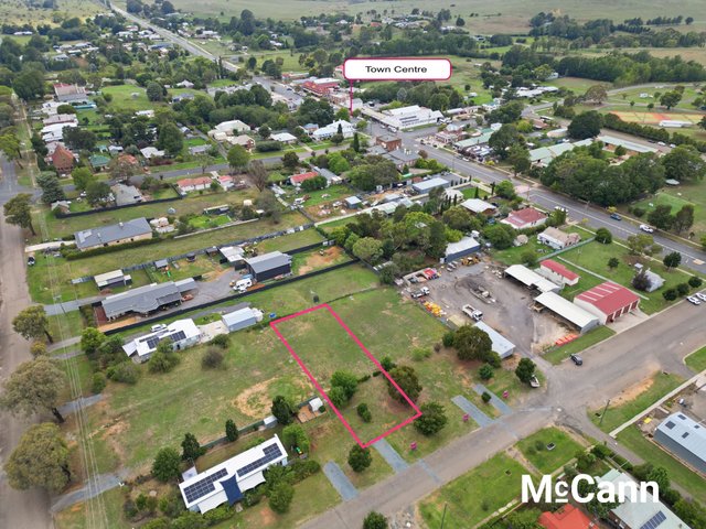 Lot 4 Nelanglo Street, NSW 2581