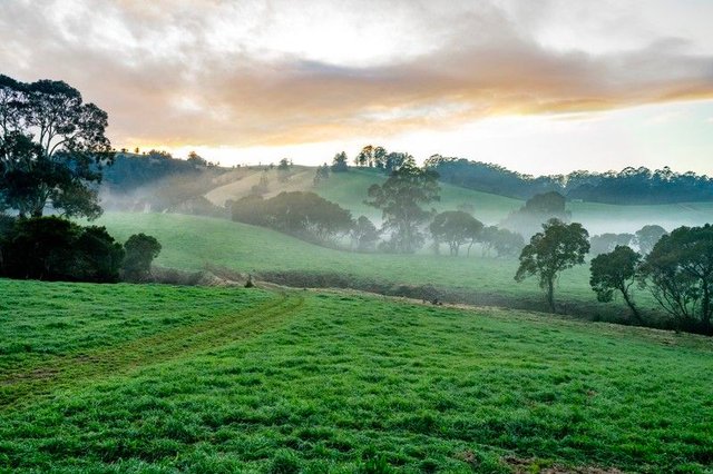 1431 Coramba Road, NSW 2453