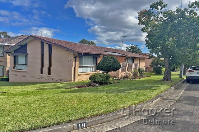 19 Raymond Avenue, NSW 2196