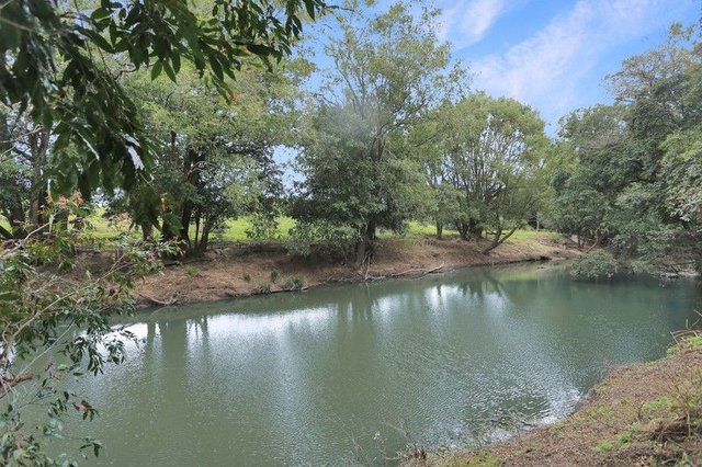 647 Markwell Back Road, NSW 2423