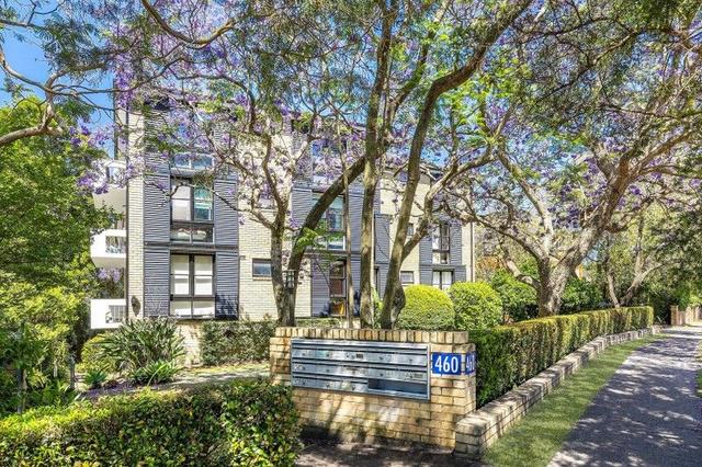6/460 Pacific Highway, NSW 2070