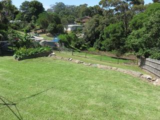 Backyard (2014-12-18)