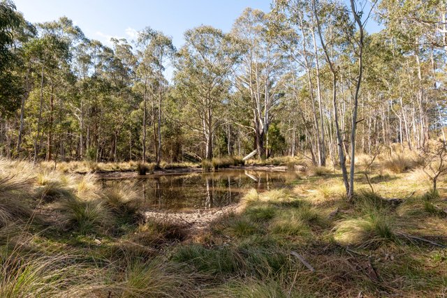 153 Blue Bush Road, NSW 2622