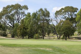 7th Green