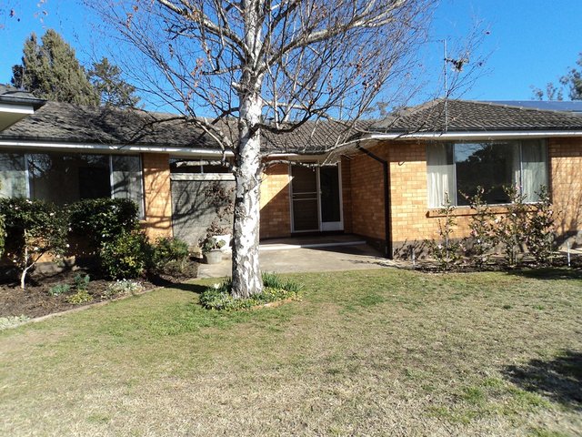 16a Gilmore Cres, ACT 2605