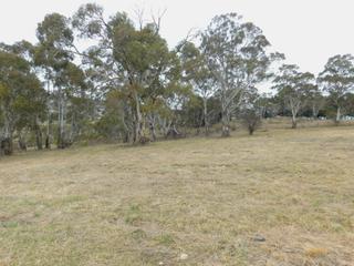 Approx 8 Acres (2017-08-17)
