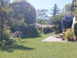 Rear garden