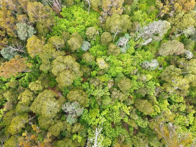 107 Wielangta Road, TAS 7176