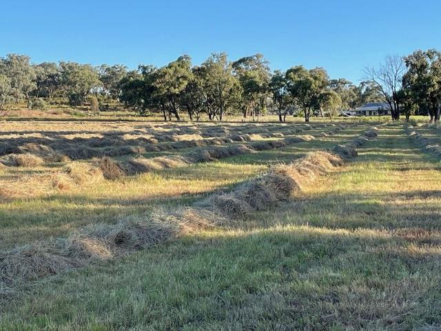 (no street name provided), NSW 2850