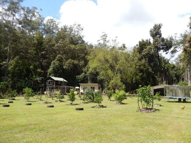 1167 Darkwood Road, NSW 2454