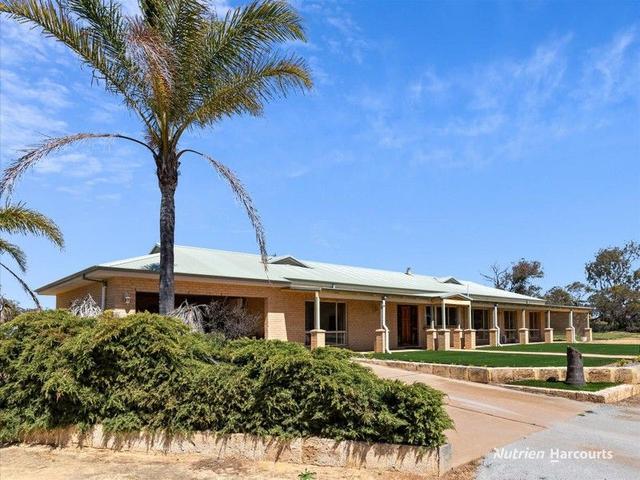 56 Yilgarn Street, WA 6407