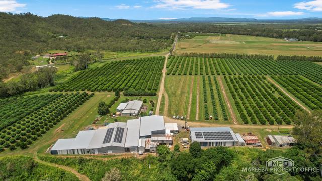 733 Bilwon Road, QLD 4880