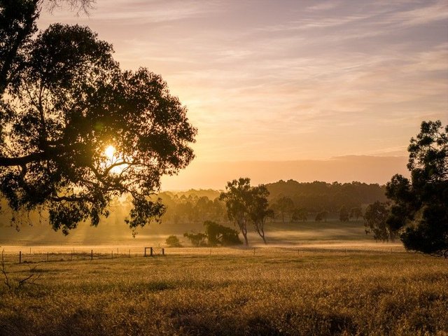 89 Worgan Road, WA 6280