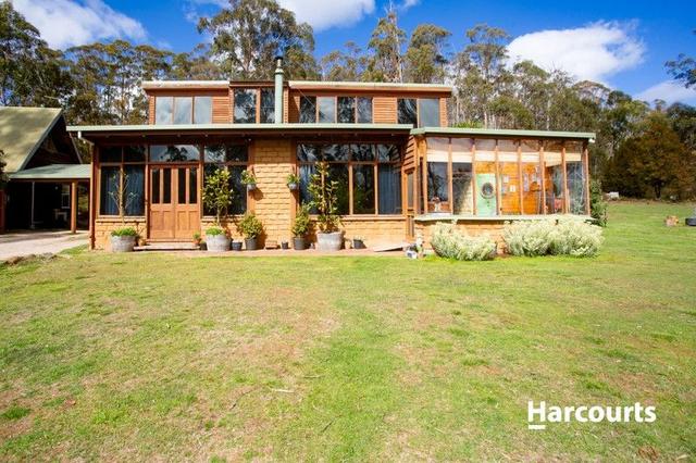 41 Pumicestone Road, TAS 7304