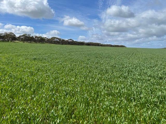 Lot/41 Skinner Road, SA 5650