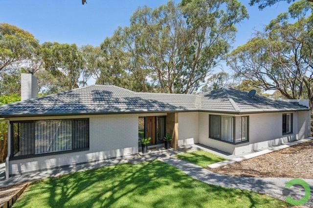 19 Ashmore Road, SA 5050