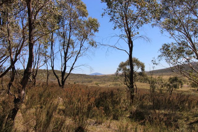 3314 Cooma Road, NSW 2622
