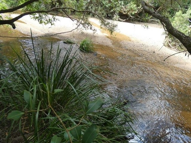 397 Mollenhagens Road, QLD 4674