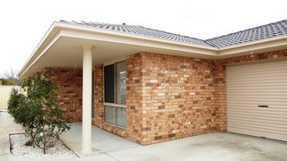 Standard Photo