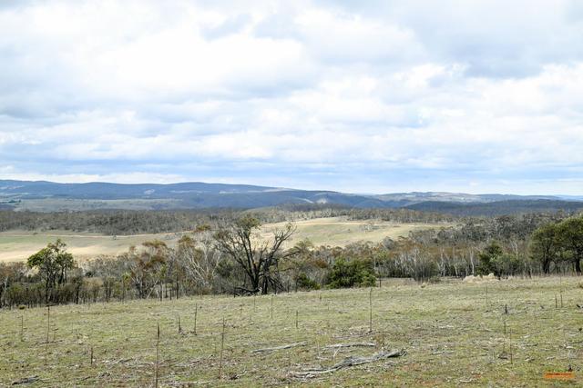 636 Caddigat Road, NSW 2630