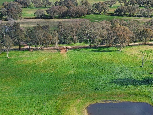 1743 Jerrybang Lane, Monteagle Via, NSW 2594