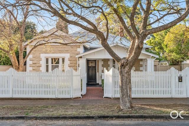 16 Alexander Avenue, SA 5041