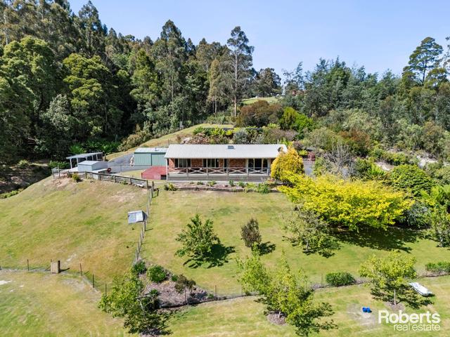 250 Kelcey Tier Road, TAS 7310