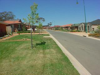 View of Street