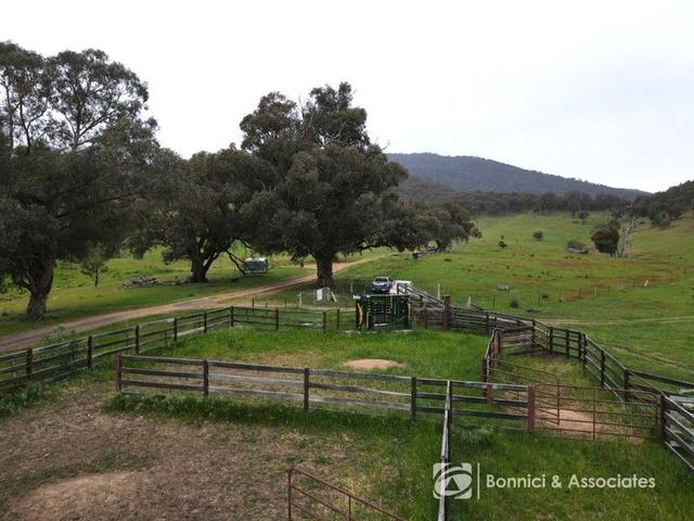 CA11, 13,/null Gray Lane, VIC 3749