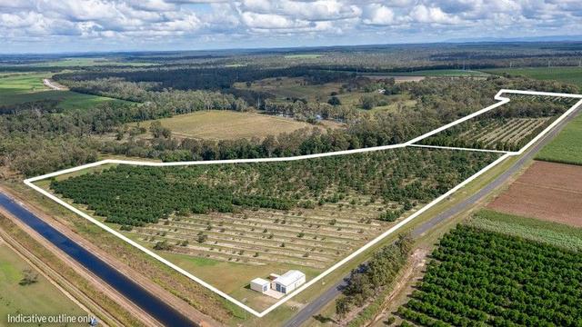 154 Foleys Road, QLD 4660