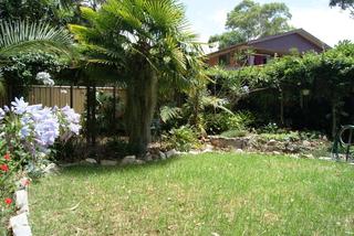 Backyard (2015-01-23)