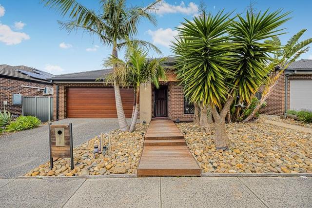 9 Bellsquarry Avenue, VIC 3977