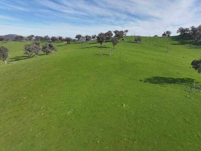 'Caulderwood Park' 570 Coggans Road, NSW 2727