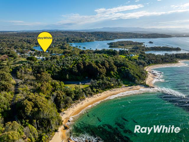 16 Charles Moffitt Drive, NSW 2537