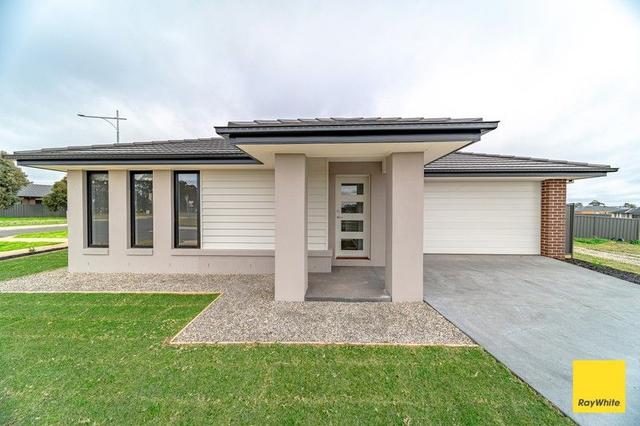 1 Anaheim Avenue, VIC 3551
