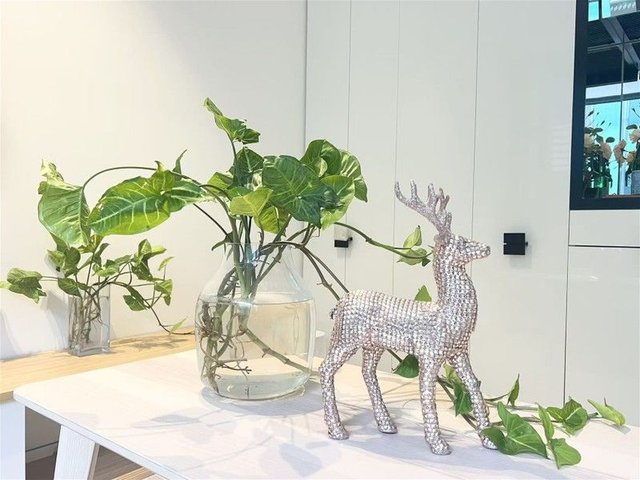 N1509/33 Ultimo Rd, NSW 2000