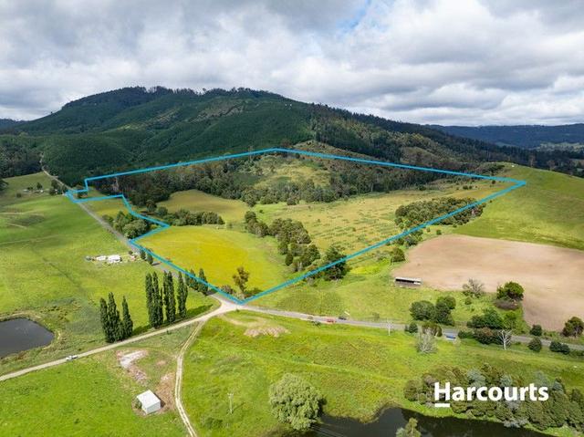 Lot 1 South Springfield Road, TAS 7260