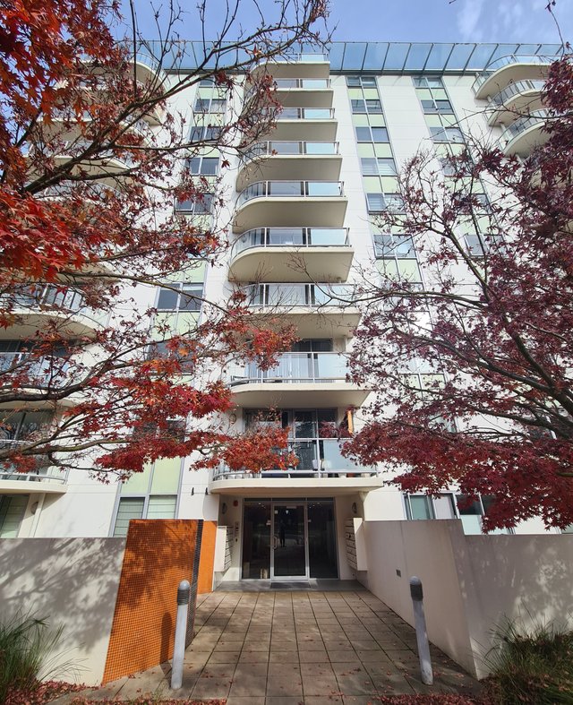 1001/2 Masson Street, ACT 2612