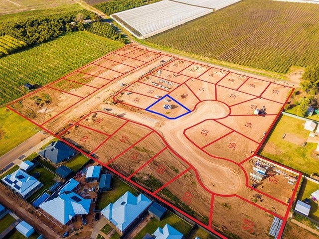 Lot 49, Pine Wood, NSW 2738