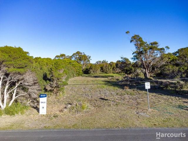 30 Davies Street, TAS 7252