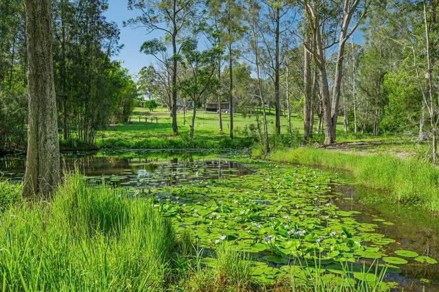 45 Francis Conn Place, NSW 2440