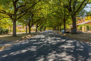 View of Street