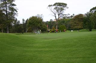 Golf course view