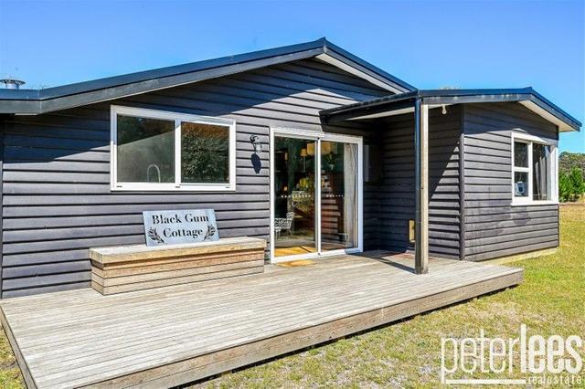 25498 Tasman Highway, TAS 7216